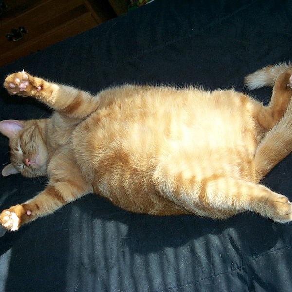 几公斤的英文 搜狗搜索