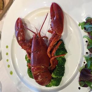 暗爽 的英文怎麼說 中英物語chtoen 知道