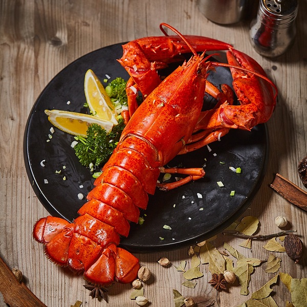 望子成龍的英文怎麼說？