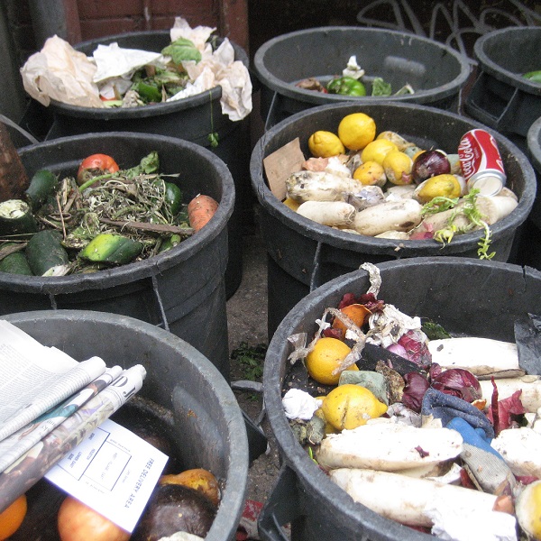 好可惜的英文怎麼說？