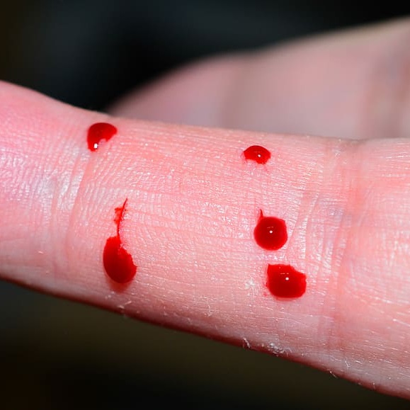 血腥的英文怎麼說？