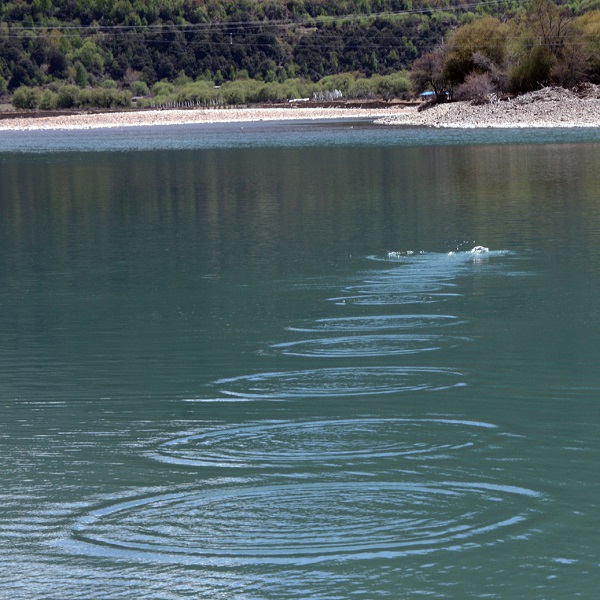 打水漂的英文怎麼說？