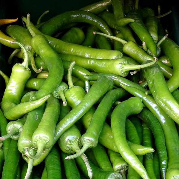 綠辣椒的英文怎麼說？