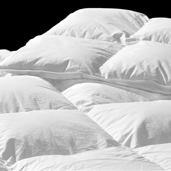 羽絨棉被 - 羽絨被 - 中英物語 ChToEn 羽絨棉被 - 羽絨被 - 中英物語 ChToEn