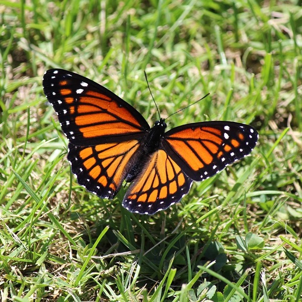 Nothing Happens Until The Pain Of Remaining The Same Outweighs The Pain Of Change 是甚麼意思?