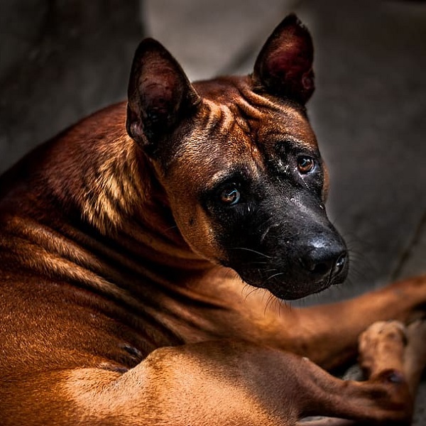 嚇跑的英文怎麼說？